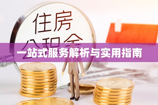 冠县一站式服务解析与实用指南